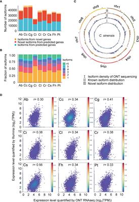 Nanopore long-read RNAseq reveals transcriptional variations in citrus species
